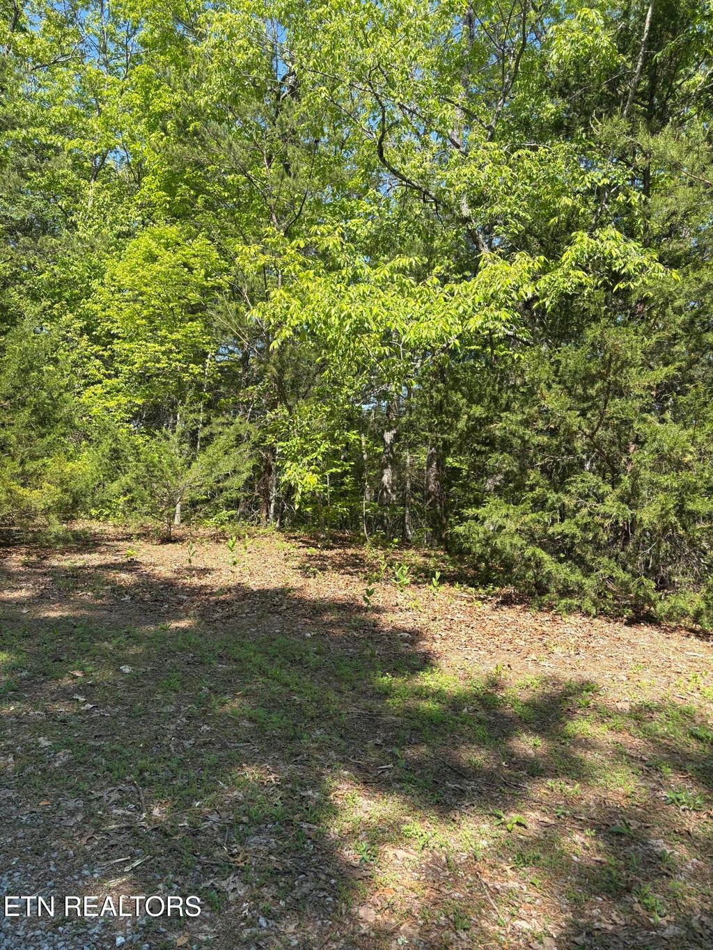 Photo of 261 Mountain Retreat Rd, Townsend, TN 37882 (MLS # 1337998)