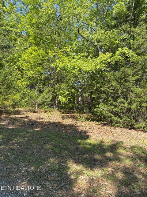 Tiny photo for 261 Mountain Retreat Rd, Townsend, TN 37882 (MLS # 1337998)