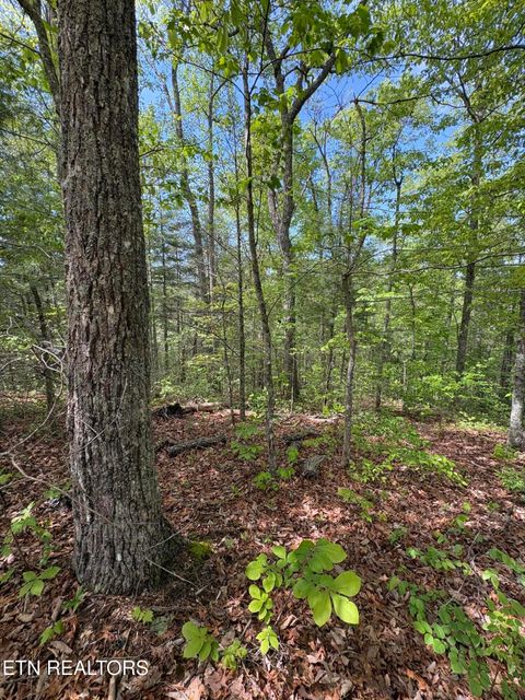 Tiny photo for 261 Mountain Retreat Rd, Townsend, TN 37882 (MLS # 1337998)