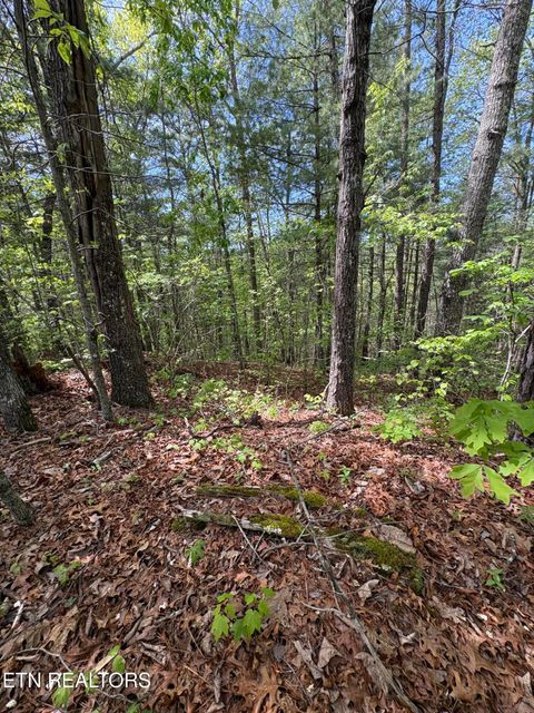 Tiny photo for 261 Mountain Retreat Rd, Townsend, TN 37882 (MLS # 1337998)