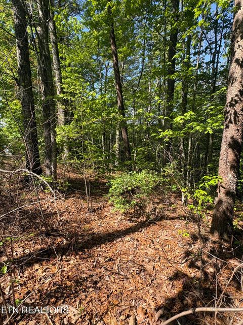 Tiny photo for 261 Mountain Retreat Rd, Townsend, TN 37882 (MLS # 1337998)