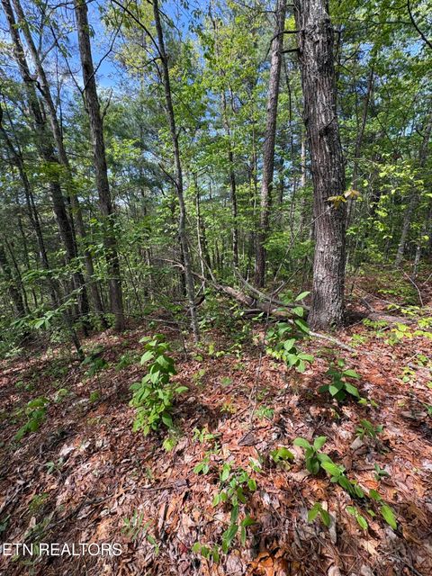 Tiny photo for 261 Mountain Retreat Rd, Townsend, TN 37882 (MLS # 1337998)