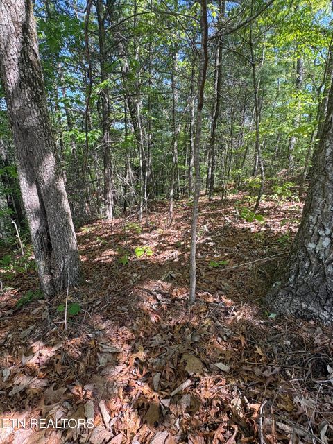Tiny photo for 261 Mountain Retreat Rd, Townsend, TN 37882 (MLS # 1337998)