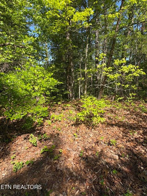 Tiny photo for 261 Mountain Retreat Rd, Townsend, TN 37882 (MLS # 1337998)