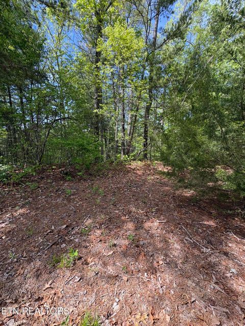 Tiny photo for 261 Mountain Retreat Rd, Townsend, TN 37882 (MLS # 1337998)