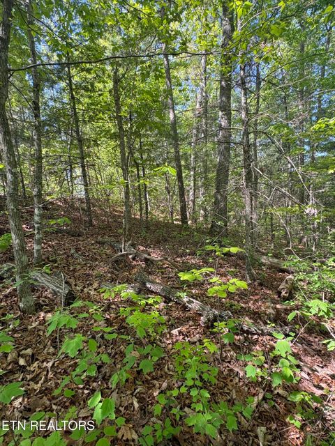 Tiny photo for 261 Mountain Retreat Rd, Townsend, TN 37882 (MLS # 1337998)