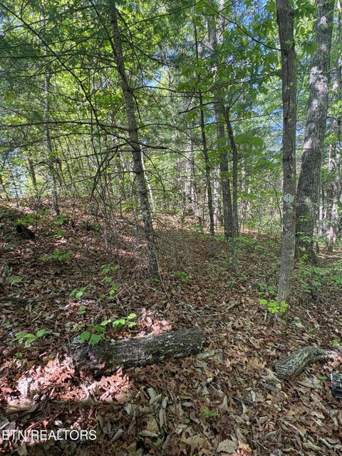 Tiny photo for 261 Mountain Retreat Rd, Townsend, TN 37882 (MLS # 1337998)