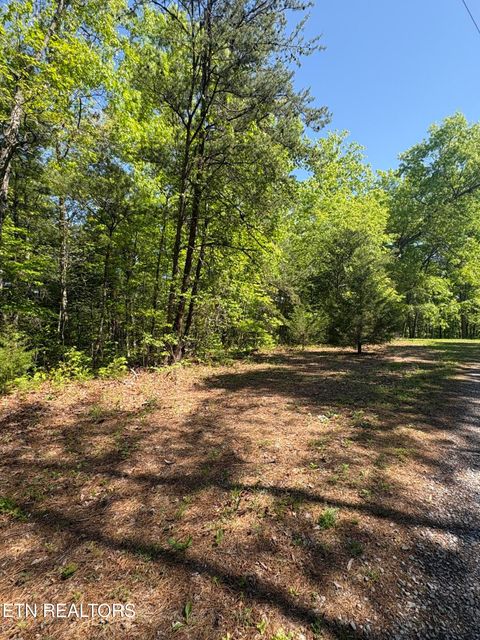 Tiny photo for 261 Mountain Retreat Rd, Townsend, TN 37882 (MLS # 1337998)