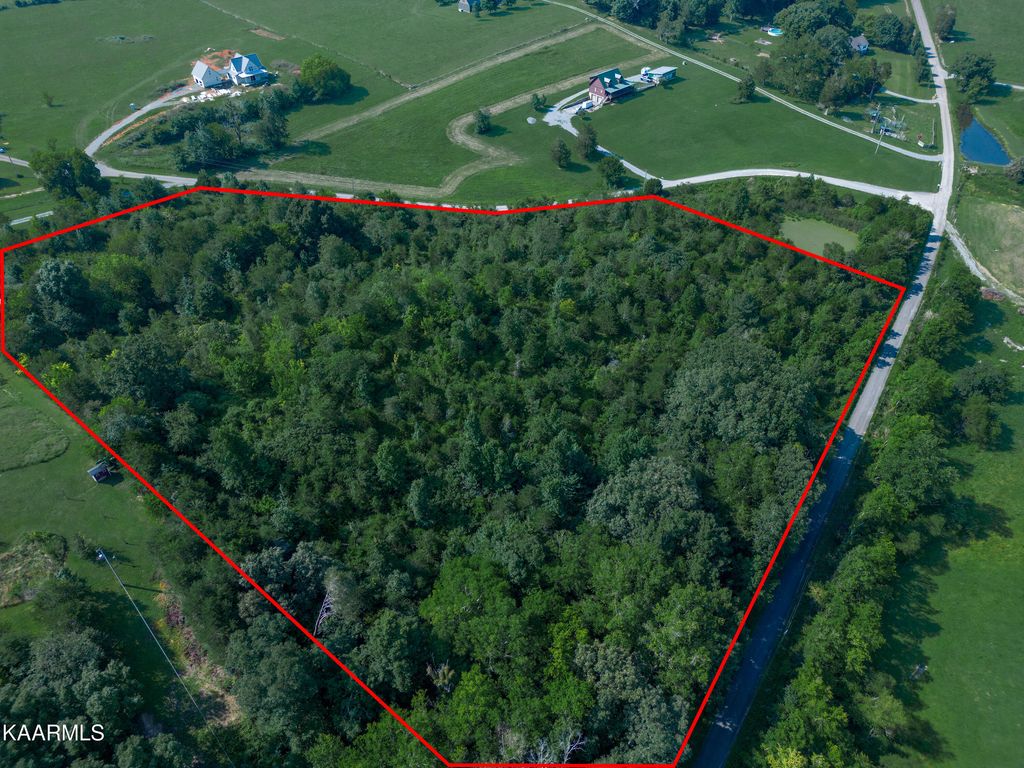 Photo of 2870 Black Rd, Greenback, TN 37742 (MLS # 1234724)