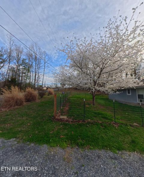 Tiny photo for 1052 Sunset Circle, Newport, TN 37821 (MLS # 1332812)