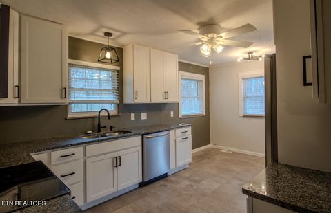 Tiny photo for 1052 Sunset Circle, Newport, TN 37821 (MLS # 1332812)