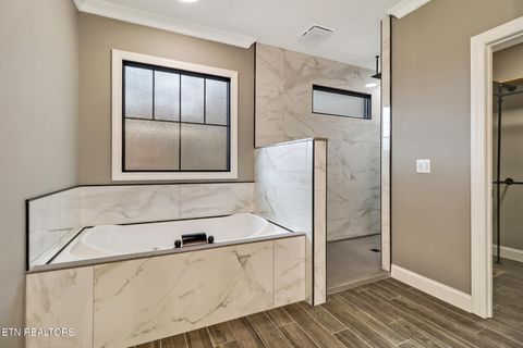 Tiny photo for 150 Adler Lane, Fairfield Glade, TN 38558 (MLS # 1320643)