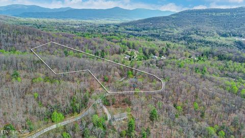 Tiny photo for 116 Grouse Ridge Rd, Harriman, TN 37748 (MLS # 1347587)