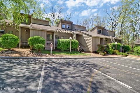 Photo of 115 Eagle Court, Crossville, TN 38558 (MLS # 1336943)