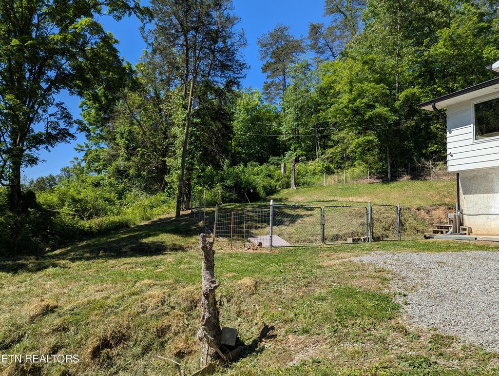 Photo of 1209 E Bullrun Valley Drive, Powell, TN 37849 (MLS # 1340155)