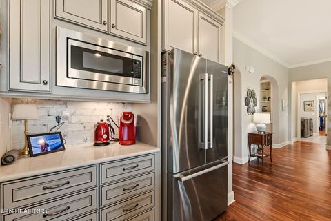 Tiny photo for 12610 Brass Lantern Lane, Knoxville, TN 37934 (MLS # 1329323)