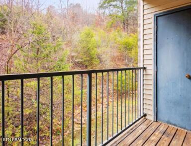 2995 Blue Springs Pkwy