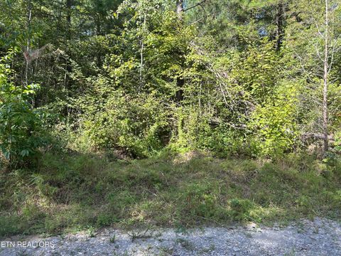 Tiny photo for 241 Star Lake Way Way, Deer Lodge, TN 37726 (MLS # 1332193)