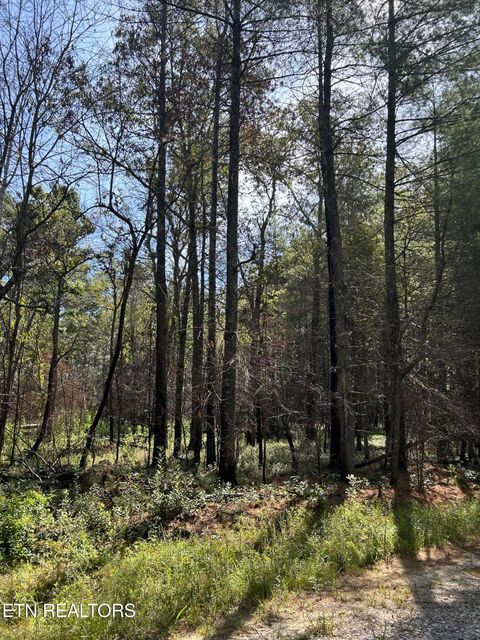 Tiny photo for 241 Star Lake Way Way, Deer Lodge, TN 37726 (MLS # 1332193)
