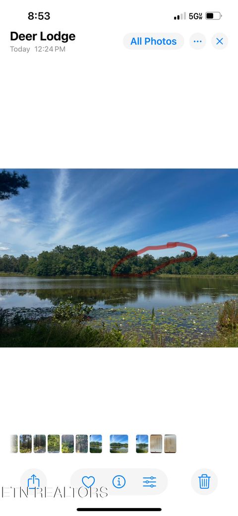 Tiny photo for 241 Star Lake Way Way, Deer Lodge, TN 37726 (MLS # 1332193)