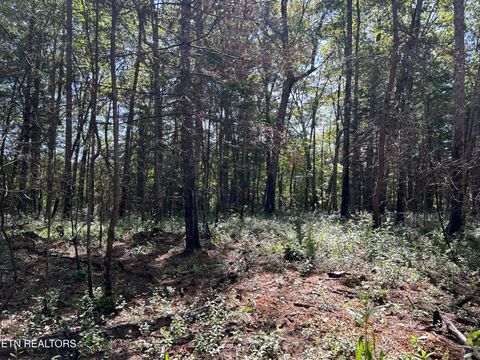 Tiny photo for 241 Star Lake Way Way, Deer Lodge, TN 37726 (MLS # 1332193)