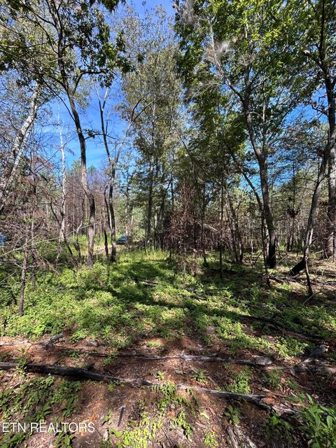 Tiny photo for 241 Star Lake Way Way, Deer Lodge, TN 37726 (MLS # 1332193)