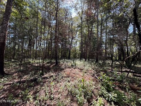 Tiny photo for 241 Star Lake Way Way, Deer Lodge, TN 37726 (MLS # 1332193)