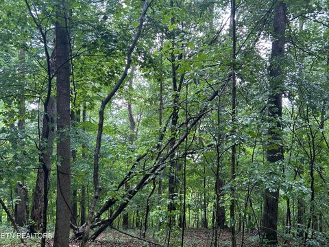 Tiny photo for 241 Star Lake Way Way, Deer Lodge, TN 37726 (MLS # 1332193)