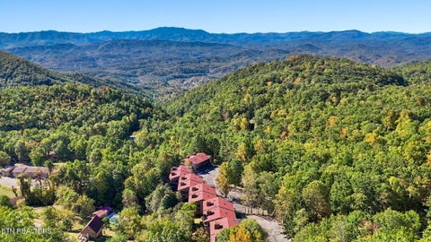 Tiny photo for 1081 Cove Rd #APT 634, Sevierville, TN 37876 (MLS # 1359484)