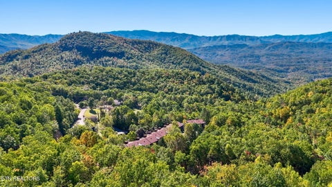 Tiny photo for 1081 Cove Rd #APT 634, Sevierville, TN 37876 (MLS # 1359484)