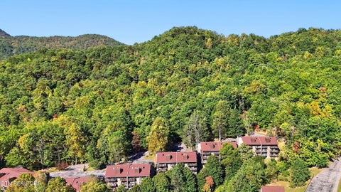 Tiny photo for 1081 Cove Rd #APT 634, Sevierville, TN 37876 (MLS # 1359484)