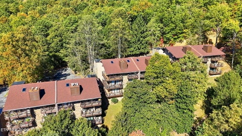 Tiny photo for 1081 Cove Rd #APT 634, Sevierville, TN 37876 (MLS # 1359484)