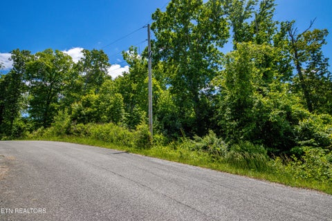 Tiny photo for Lot 47 HorseshoeBend, Speedwell, TN 37870 (MLS # 1356196)