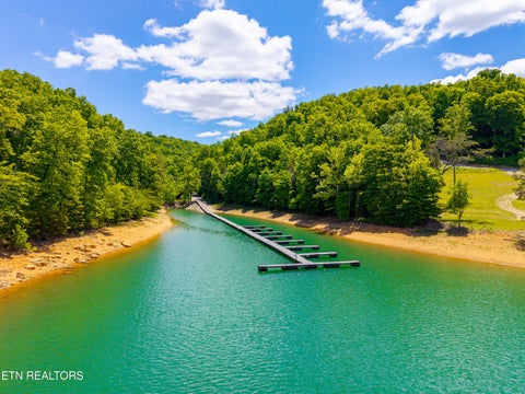 Tiny photo for Lot 47 HorseshoeBend, Speedwell, TN 37870 (MLS # 1356196)