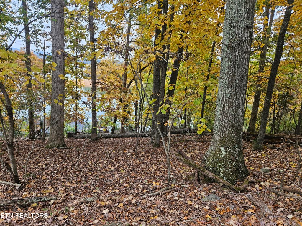 Photo of 2061 Lakewood Drive, Morristown, TN 37814 (MLS # 1307502)