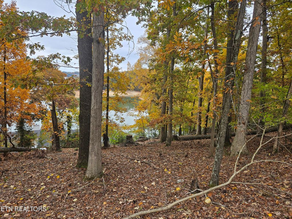 Photo of 2061 Lakewood Drive, Morristown, TN 37814 (MLS # 1307502)