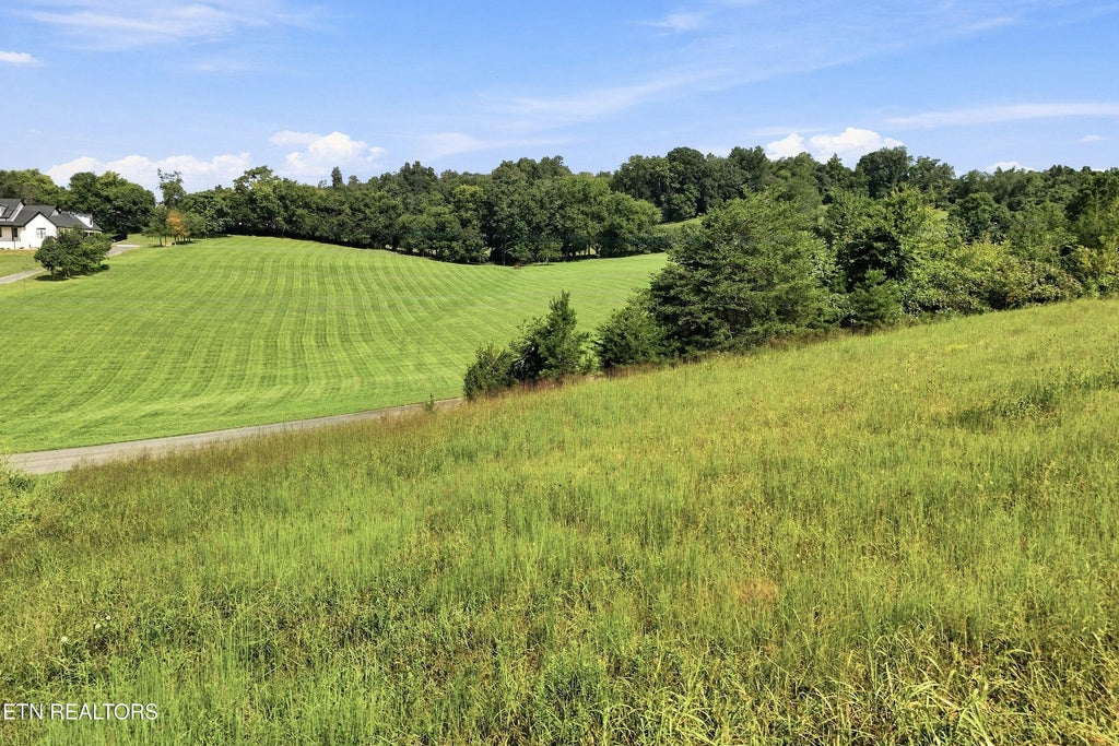 Photo of TBD Holston River Drive, Rutledge, TN 37861 (MLS # 1352459)