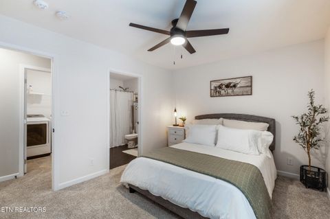 Tiny photo for 418 Hayley Marie Lane, Knoxville, TN 37920 (MLS # 1329415)