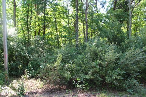 Photo of Goney Rd, Grimsley, TN 38565 (MLS # 1346577)