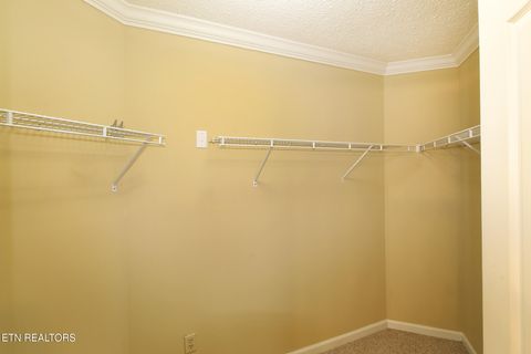 Tiny photo for 1006 Middleton Place, Knoxville, TN 37923 (MLS # 1326996)