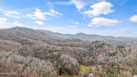 Tiny photo for 435 Hemlock Lane, Sevierville, TN 37876 (MLS # 1325730)