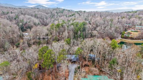 Tiny photo for 435 Hemlock Lane, Sevierville, TN 37876 (MLS # 1325730)