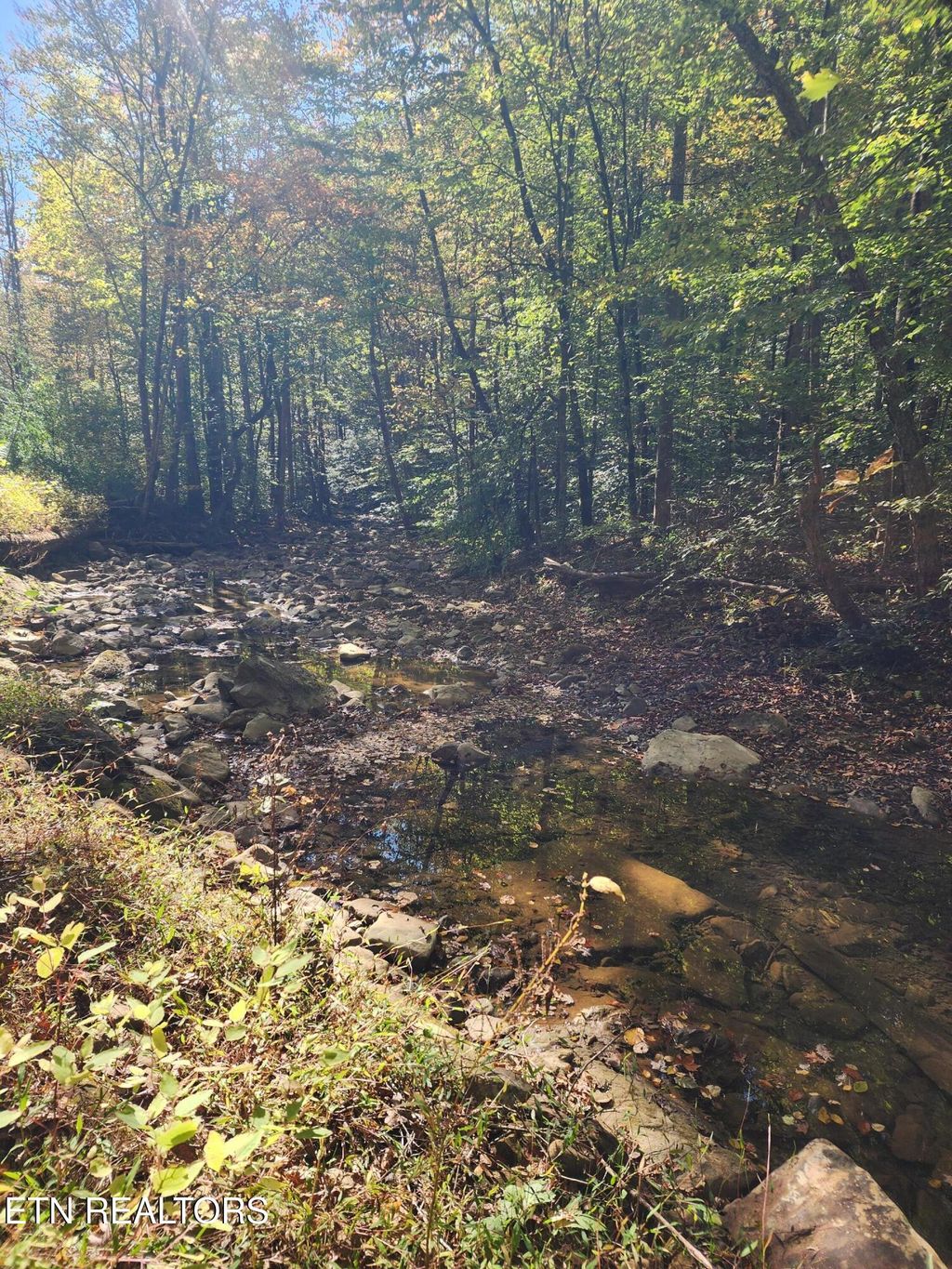 Photo of Terry Creek Lane, Pioneer, TN 37847 (MLS # 1321349)