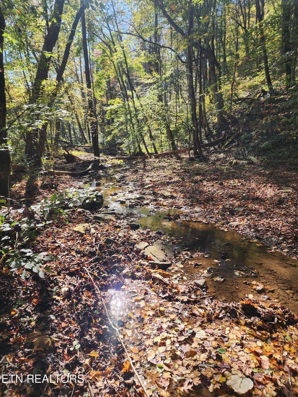 Photo of Terry Creek Lane, Pioneer, TN 37847 (MLS # 1321349)