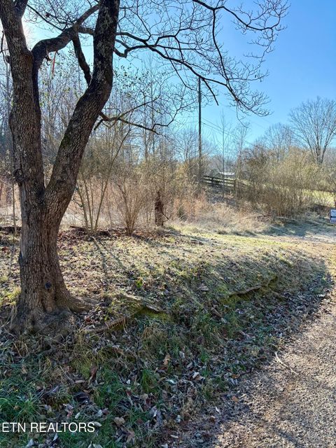 Tiny photo for 117 Hoskins Lane, Clinton, TN 37716 (MLS # 1326183)