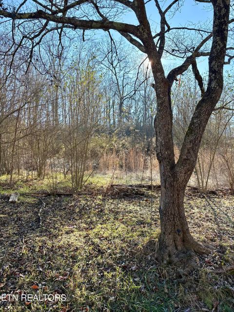 Tiny photo for 117 Hoskins Lane, Clinton, TN 37716 (MLS # 1326183)