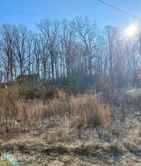 Tiny photo for 117 Hoskins Lane, Clinton, TN 37716 (MLS # 1326183)