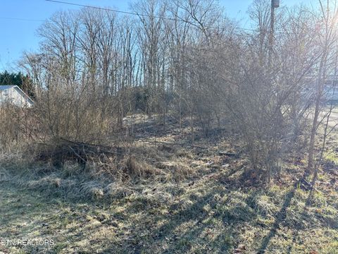 Tiny photo for 117 Hoskins Lane, Clinton, TN 37716 (MLS # 1326183)