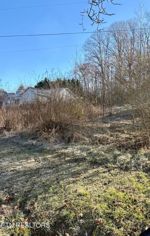 Tiny photo for 117 Hoskins Lane, Clinton, TN 37716 (MLS # 1326183)