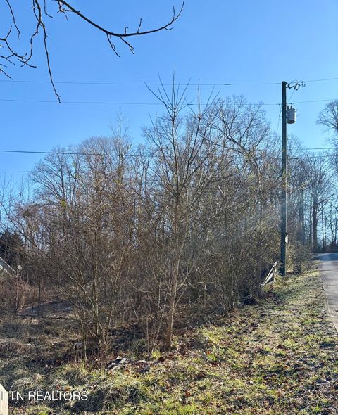 Tiny photo for 117 Hoskins Lane, Clinton, TN 37716 (MLS # 1326183)